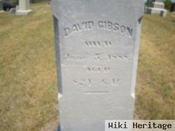 David Gibson