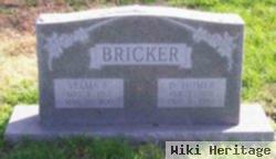 David Homer Bricker