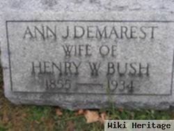 Ann J Demarest Bush