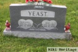 Mary S Yeast