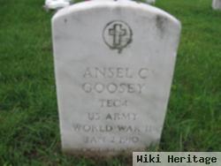 Ansel C Goosey