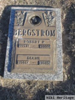 Robert P. Bergstrom