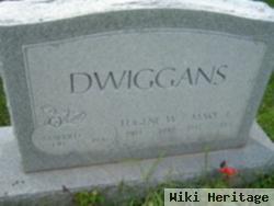 Mary Elizabeth Focht Dwiggans