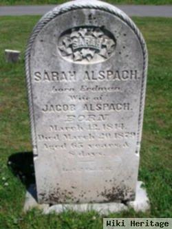 Sarah Erdman Alspach