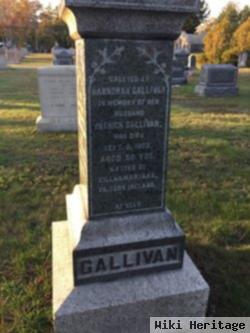 Patrick Gallivan