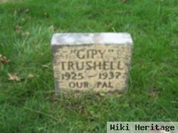 Gipy Trushell