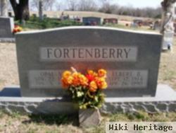 Elbert Brown Fortenberry