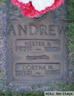 Dortha N Mccasland Andrew