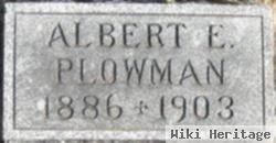 Albert Elden Plowman