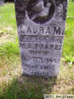 Laura M Phares