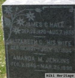 Amanda M Hale Jenkins