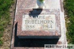 Katerinia Marie "marie" Wagner Tribelhorn