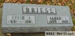 Albert Edward Briese