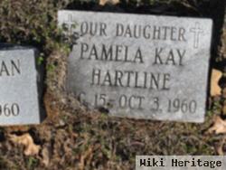 Pamela K Hartline