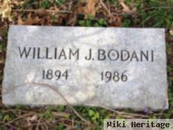 William J Bodani