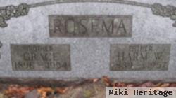 Grace Bosch Rosema