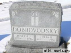 Joseph J. Dobrovodsky