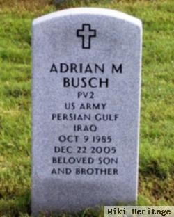 Adrian M Busch