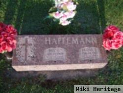 Roy E Haffemann