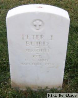 Peter J Buird