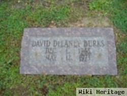 David Delaney Burks