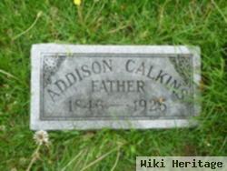 Addison Calkins