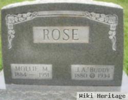 Mollie Mae Lambert Rose