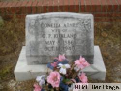 Cornelia Abney Kirkland