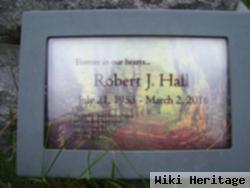 Robert J Hall