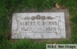 Albert C Burns