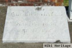 Albert Hayes