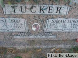 Sarah Lurie Andrews Tucker