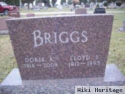 Lloyd J. Briggs