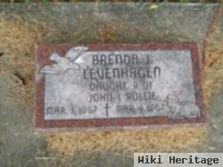 Brenda J Levenhagen