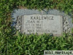 Joan M Karlewicz