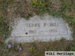 Terry P. Hill
