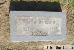 Eva M Andrews Blossom