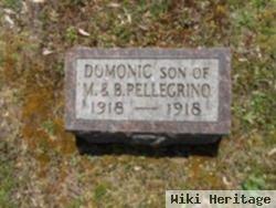 Domonic Pellegrino