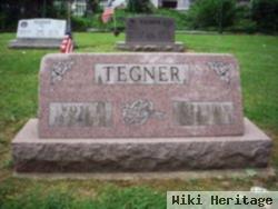 Wayne B Tegner