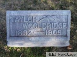 Henry Taylor Wooldridge