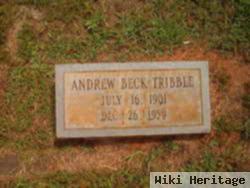 Andrew Beck Tribble