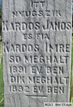 Janos Kardos