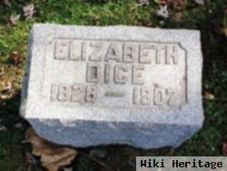 Elizabeth R Dice