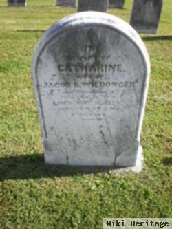 Catharine Yost Wildonger