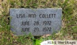 Lisa Ann Collett