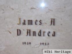 James A D'andrea