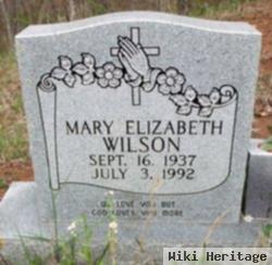 Mary Elizabeth Wilson