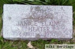 Janice Elaine Heater