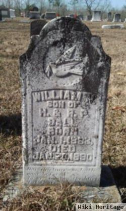 William N. Ball