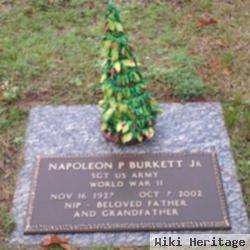 Napoleon P Burkett